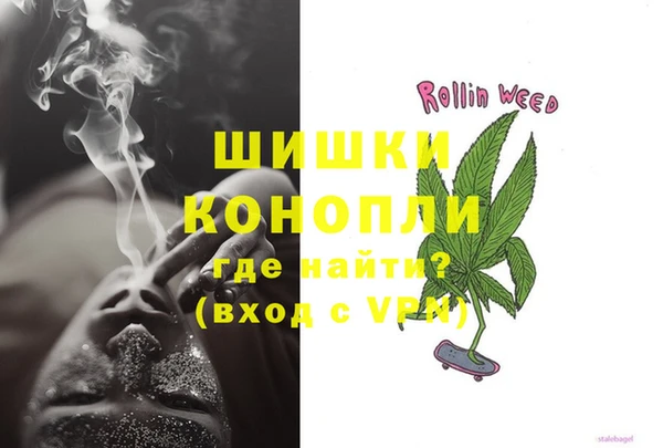 сатива Абинск