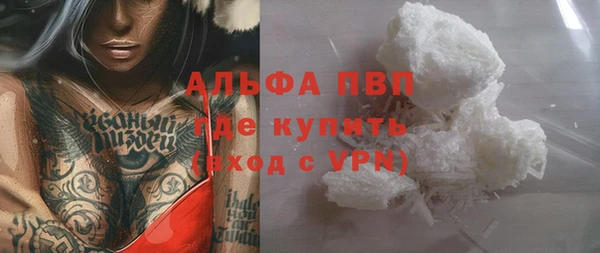 сатива Абинск