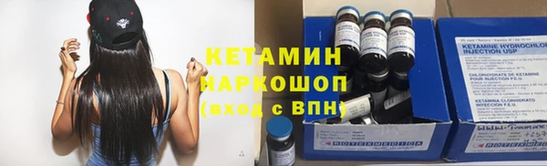 сатива Абинск