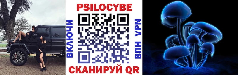 shop как зайти  Ростов-на-Дону  Псилоцибиновые грибы мухоморы  ОМГ ОМГ ссылка 